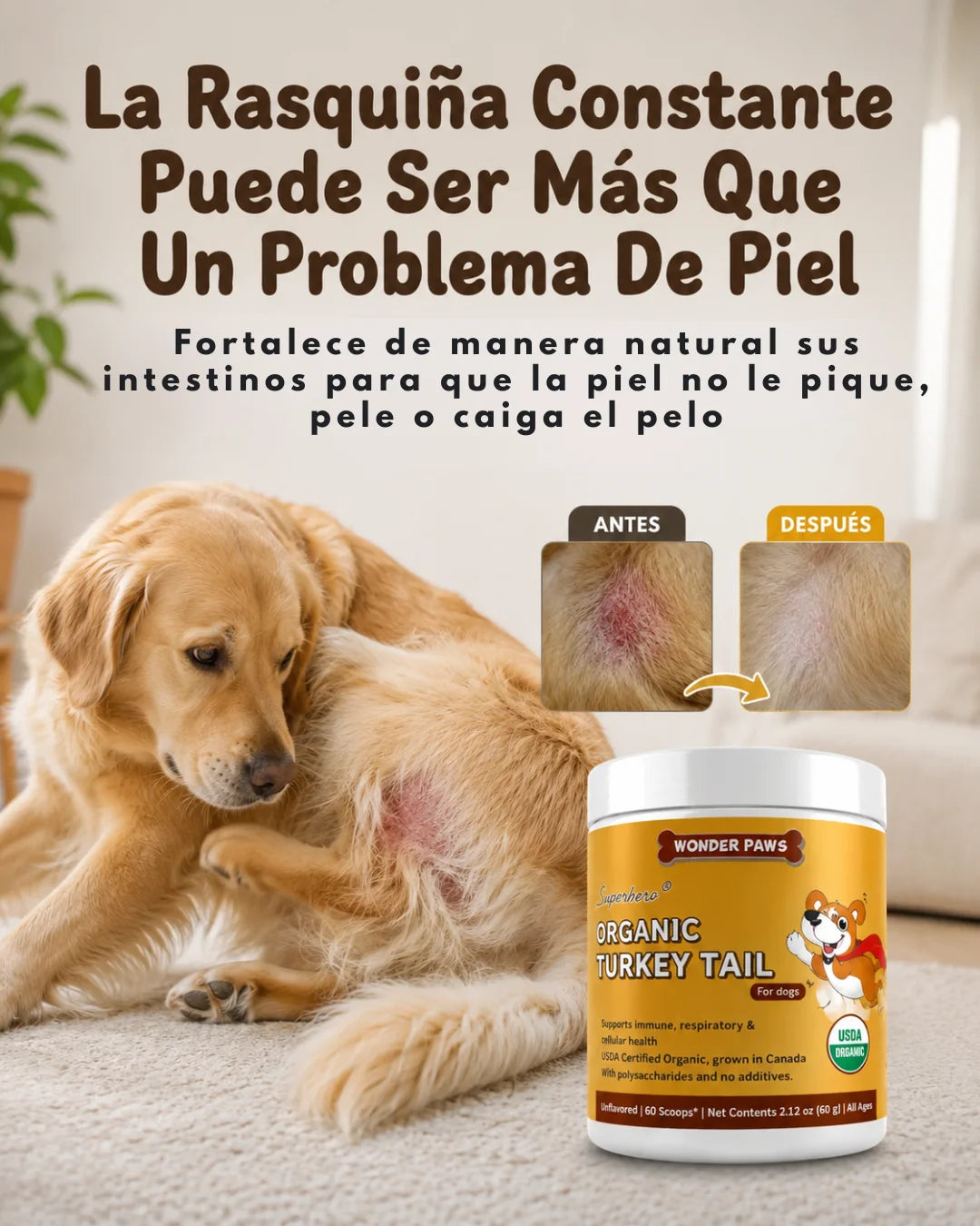 WONDER PAWS - Mejora la Salud Inmunológica de tu Perro